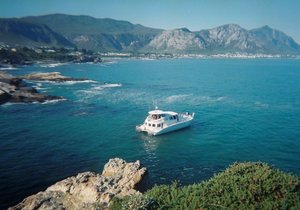 SUMMER CRUISES in Hermanus